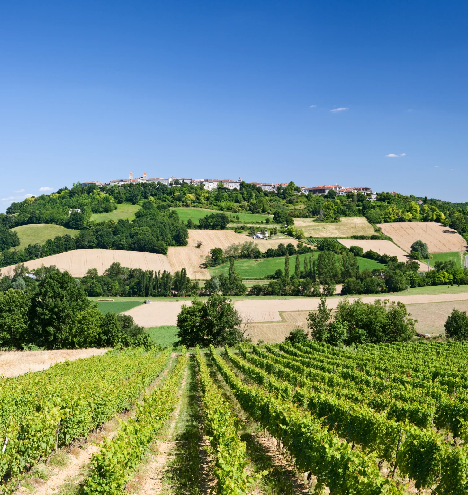 Vignobles au Québec