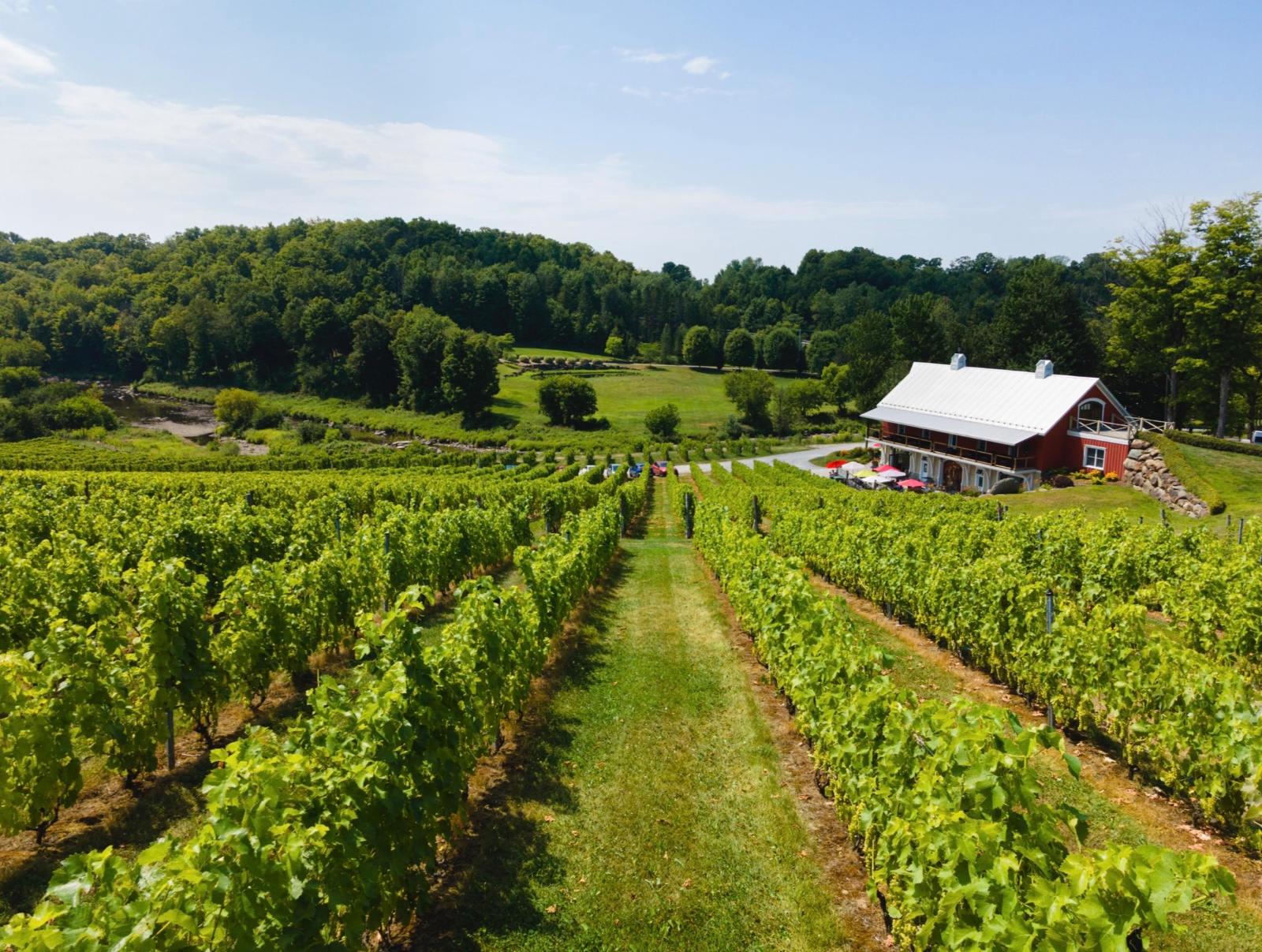 Vignoble Coteau des Artisans — photo 5