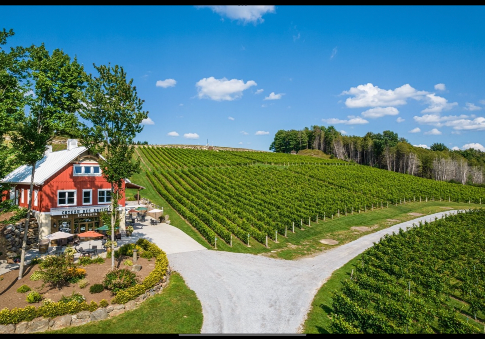 Vignoble Coteau des Artisans — photo 9