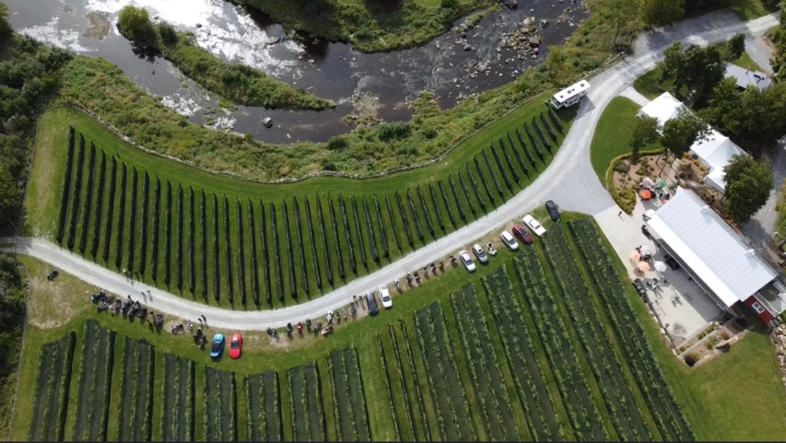 Vignoble Coteau des Artisans — photo 10