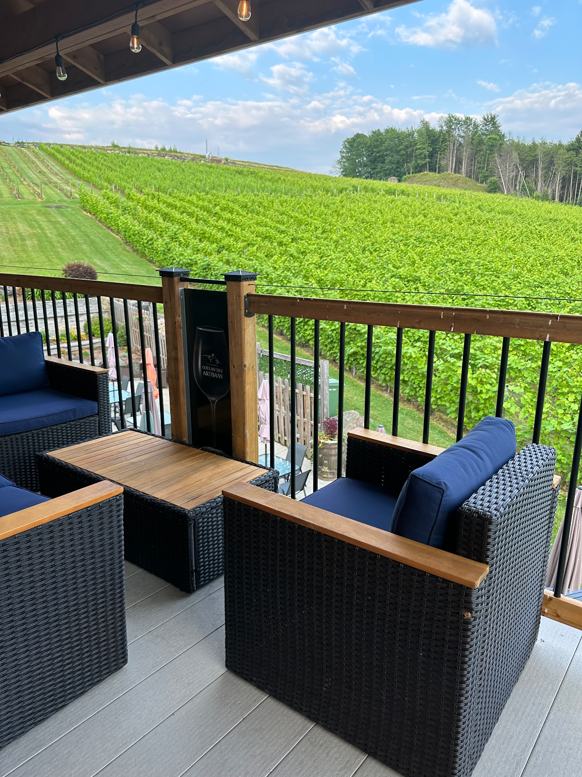 Vignoble Coteau des Artisans — photo 11