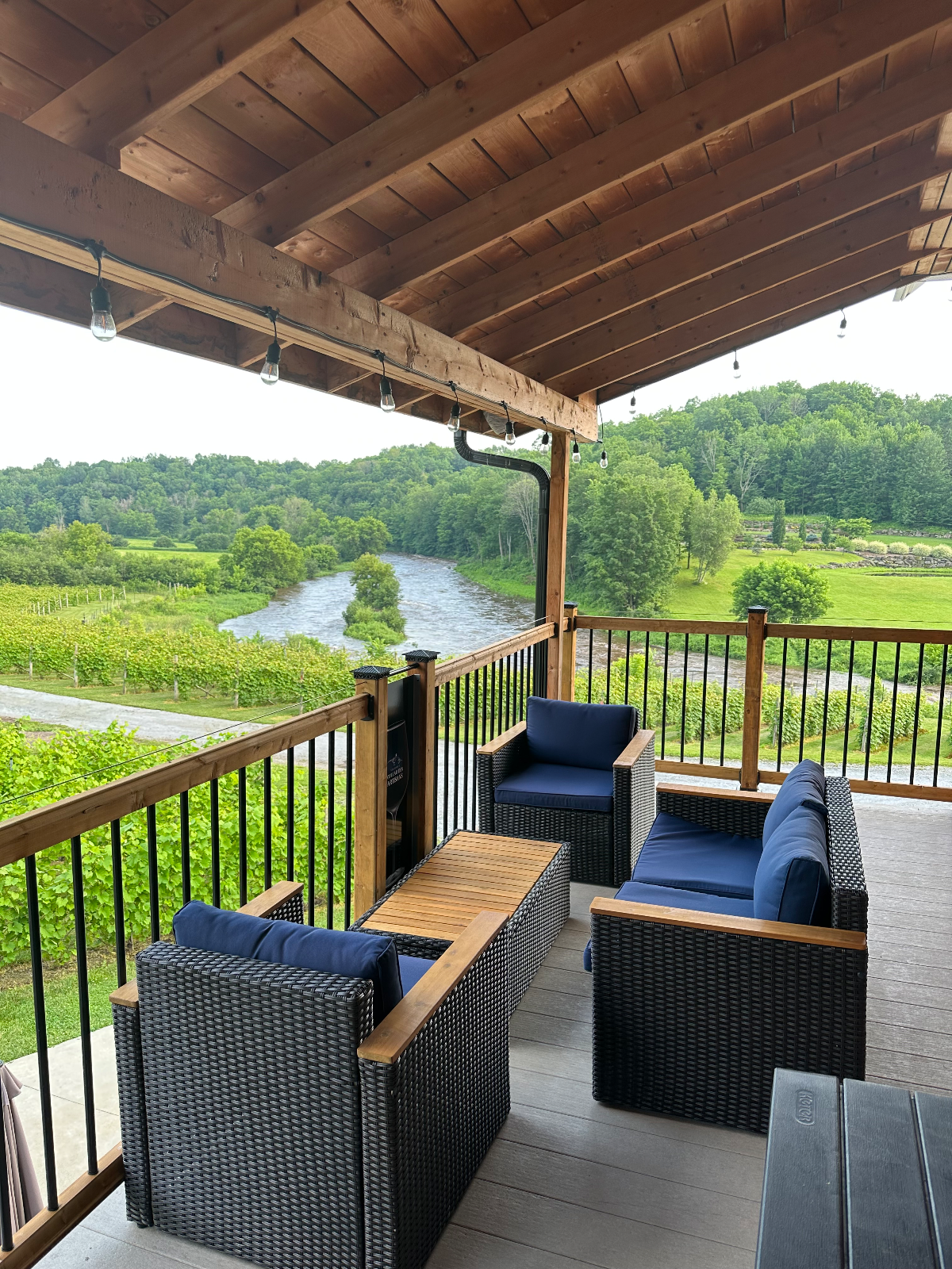 Vignoble Coteau des Artisans — photo 12