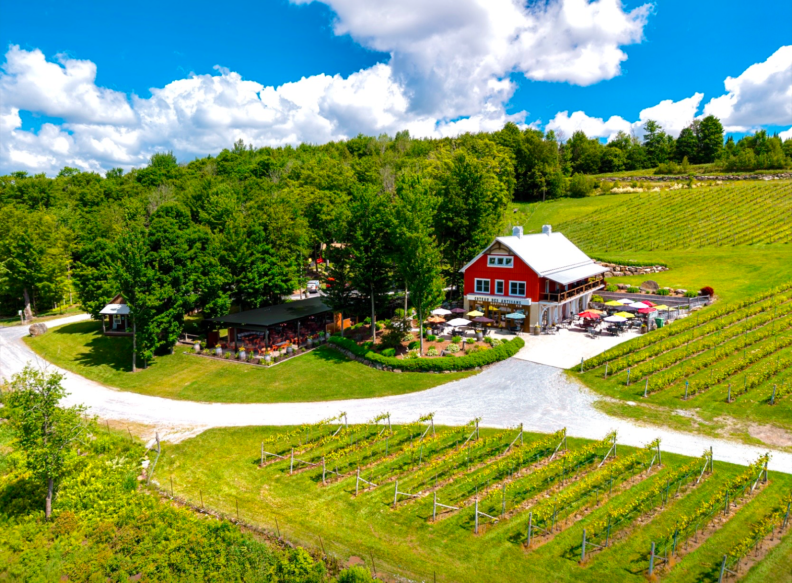 Vignoble Coteau des Artisans — photo 1