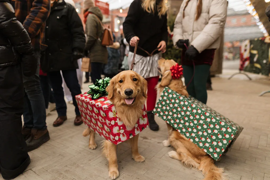 Marché de Noël de Saint-Hyacinthe — photo 12