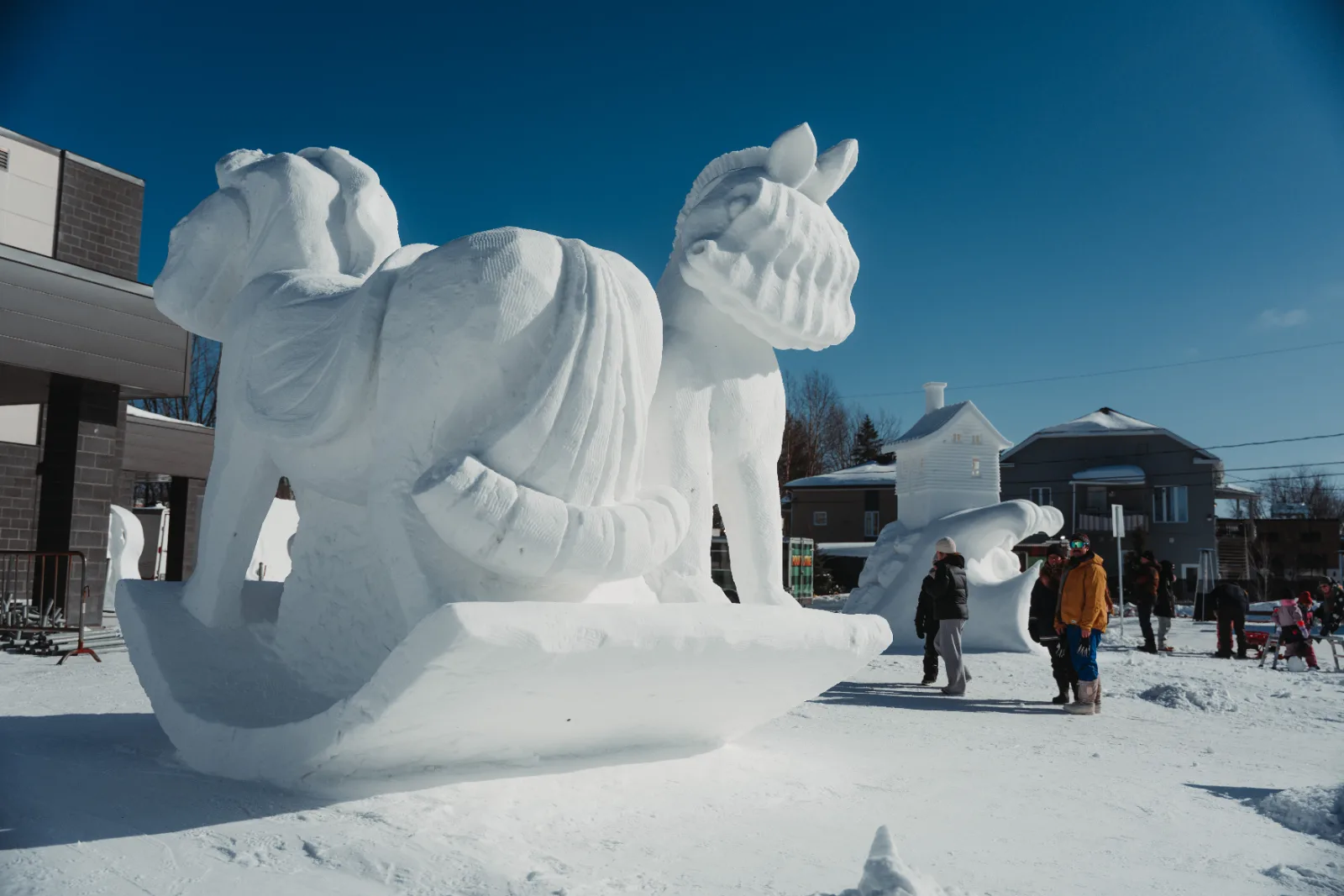 Saguenay en Neige — photo 8