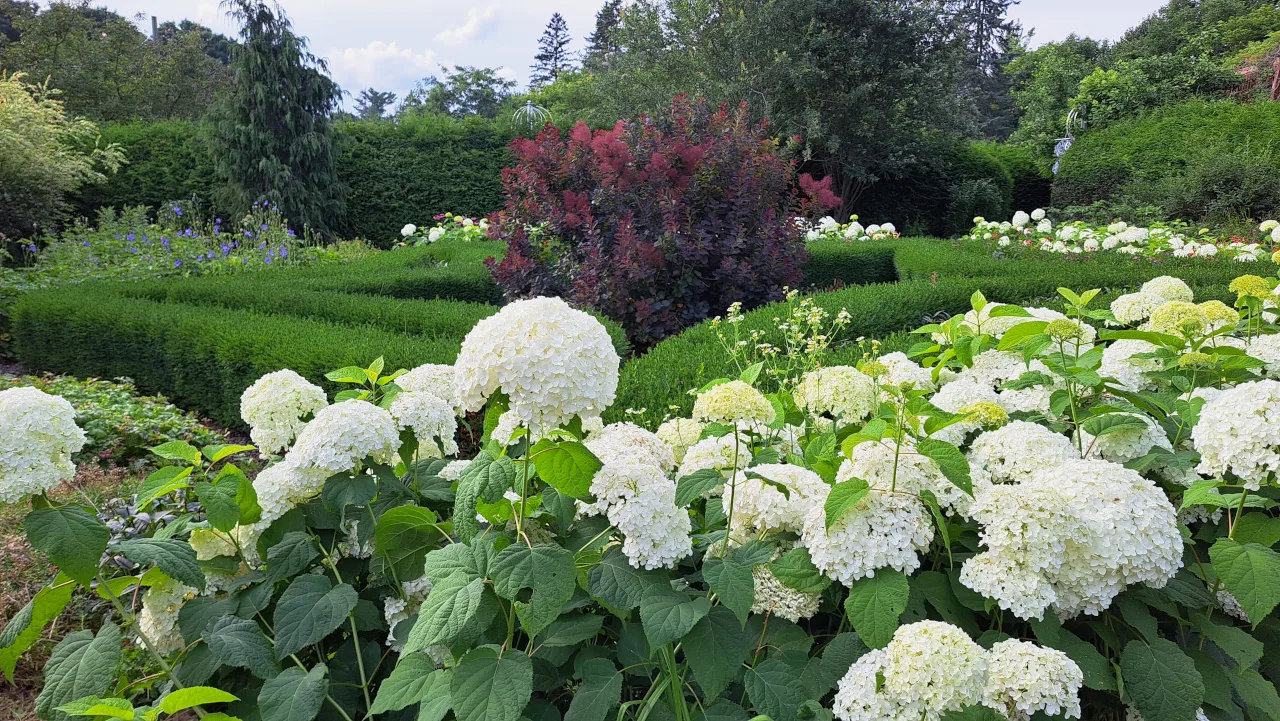 Les jardins des 5 sens — photo 2