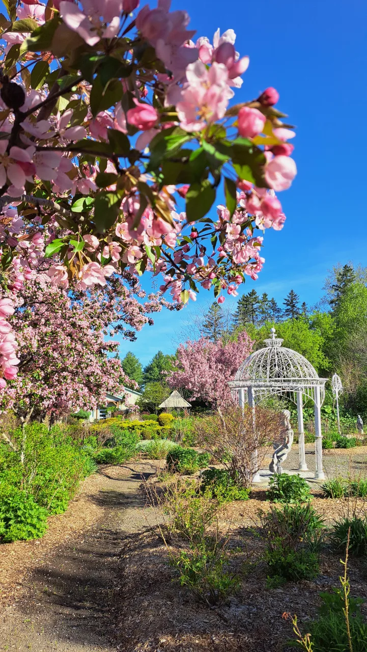 Les jardins des 5 sens — photo 4