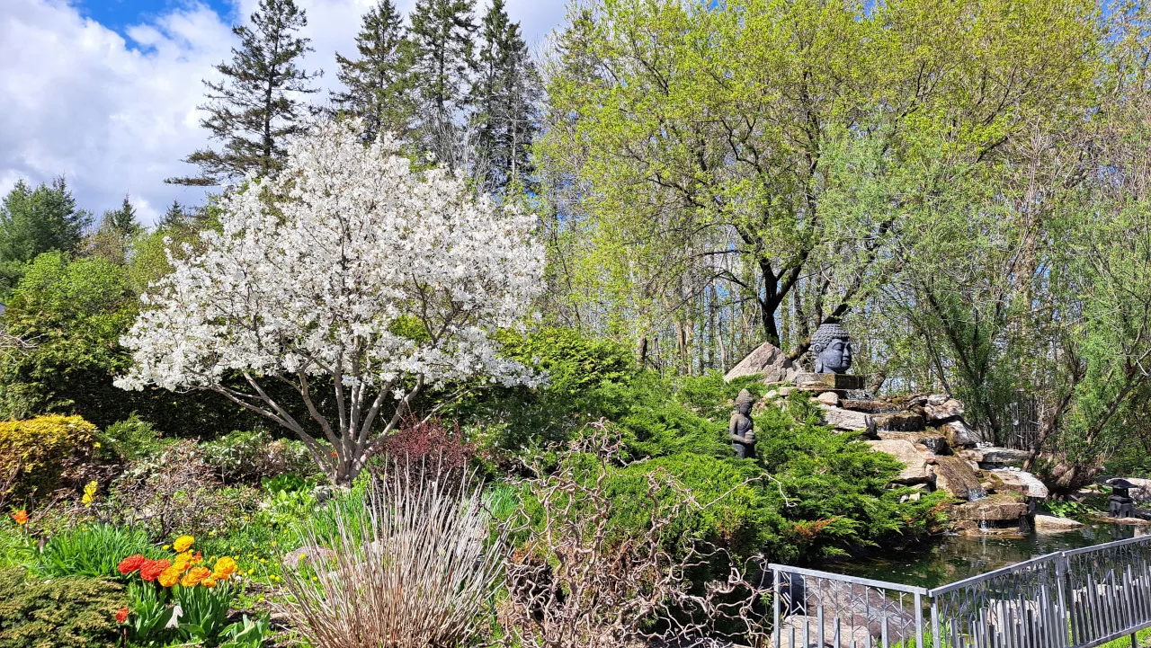 Les jardins des 5 sens — photo 3