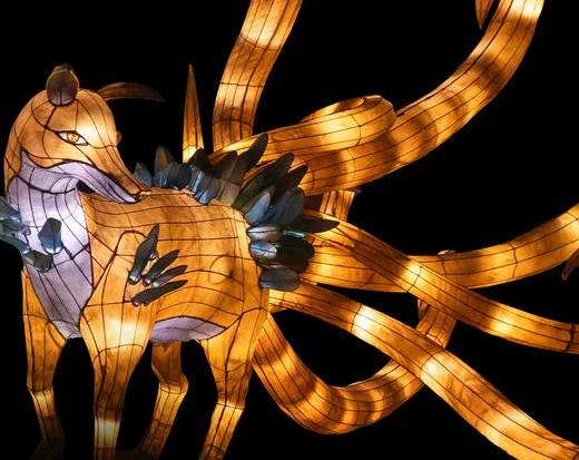 Jardins de lumière 2026 au Jardin botanique : dates, billets et tarifs