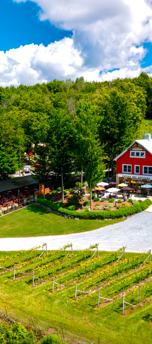 Vignoble Coteau des Artisans